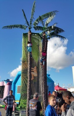 Palm Tree Climbing