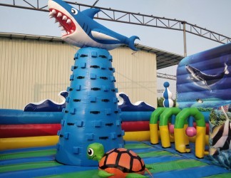 Giant Ocean Bouncer